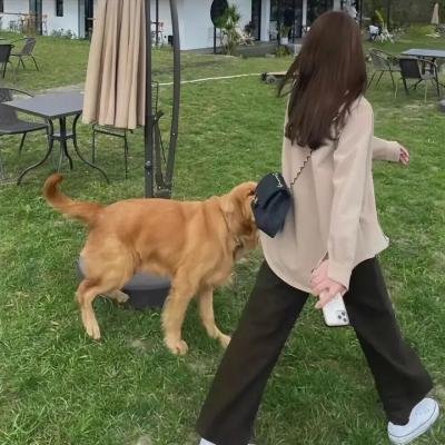 没牙的老虎